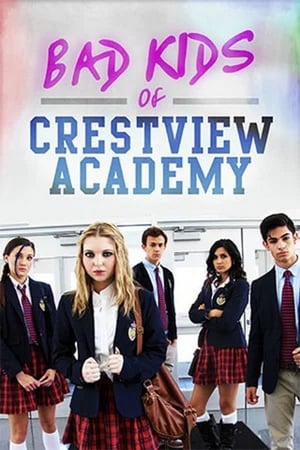 Bad Kids of Crestview Academy (2017) Hindi Dual Audio 330MB