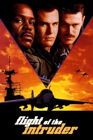 Flight Of The Intruder 1991 Hindi Dubbed