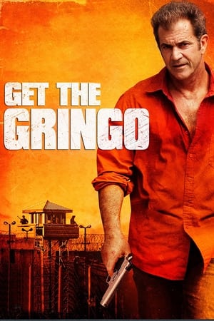 Get the Gringo (2012) Hindi Dual Audio [850MB]
