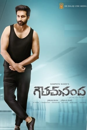 Goutham Nanda (2017) (Hindi – Telugu) Dual Audio – 480p
