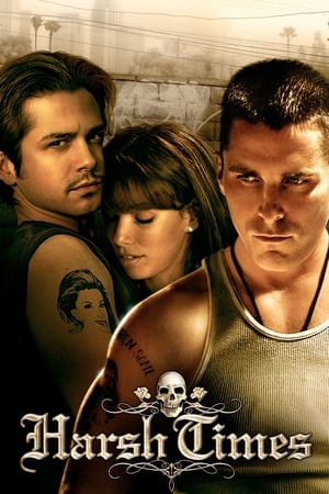 Harsh Times 2005 Hindi Dual Audio – 480p