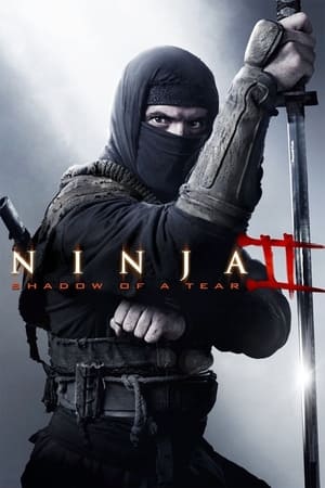 Ninja Shadow of a Tear 2013 Hindi Dual Audio 300MB