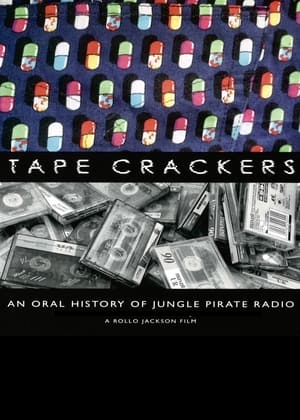 Pirate Radio (2009) Hindi Dual Audio [1GB]