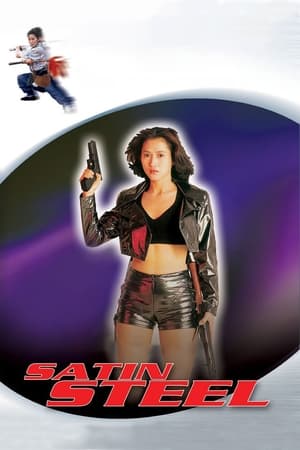 Satin Steel (1994) Hindi Dual Audio [700MB]