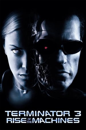 Terminator 3: Rise of the Machines (2003) Hindi Dual Audio [850MB]